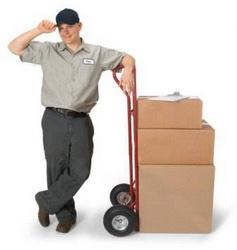 Inside Delivery Fee [100]